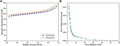 One-pot encapsulation of lactate dehydrogenase and Fe3O4 nanoparticles into a metal–organic framework: A novel magnetic recyclable biocatalyst for the synthesis of D-phenyllactic acid